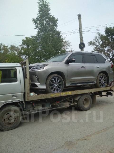 ����������. ����