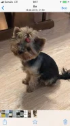 ������. ����