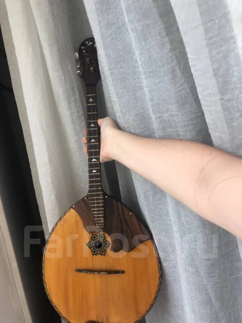 �����. ����