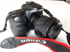 Canon EOS 40D. 10 - 14.9 ��, ���: 5�. ��� ����� �� ������ ����