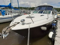 Searay Sundancer. 2008 ���, ����� 9��., ��������� ������������, 520��.�., ������ ����