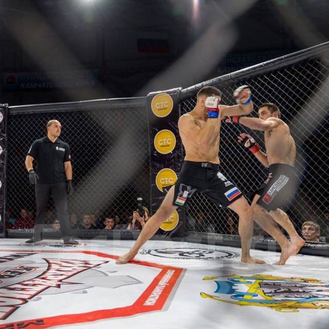 Индивидуальные и групповые тренировки: Самбо, ММА, Дзюдо, Бокс. Скидки ...