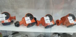 ������ ��������������. ����