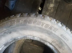 Bridgestone Winter Radial WT-14. ������, ����������, �/�, ����� 30 % ����