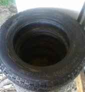 ��������� Forward Professional 156. �����������, �/�, ����� 5 % ����
