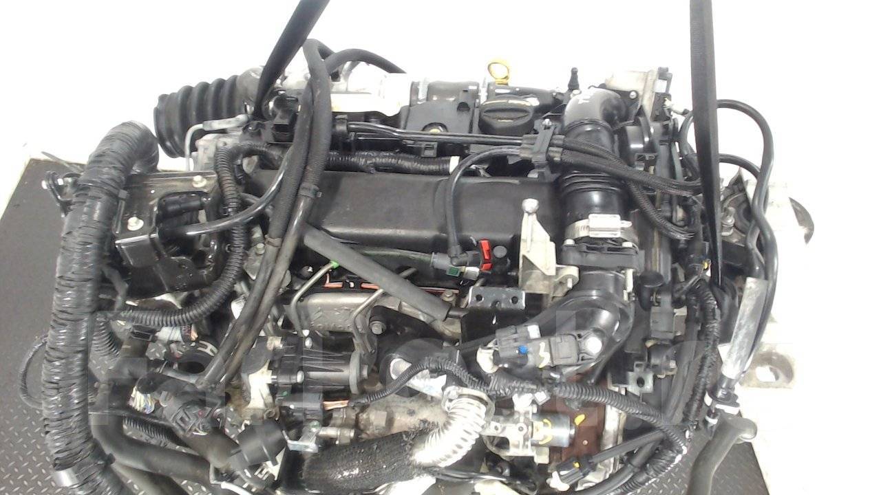 контрактный двигатель фокус 3. 8 дюратек форд фокус. двигатель 1. двигатель форд фокус 3 1. 6 100.