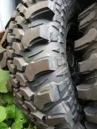 CST CL18. ����� at, ����� ����