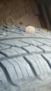 ����-230. ������, 2018 ���, �/�, ����� 5 % ����