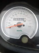 Irbis Nirvana. 150����. ��., ����������, ��� ���, � �������� ����