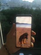Samsung Galaxy S9+. �/�, ����������, 4G LTE, ����������, NFC ����