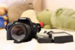 Canon EOS 700D Kit. 15 - 19.9 ��, ���: 3� ����