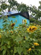 Продам отдельно стоящий дом в с. Троицкое Нанайского района. в Нанайском районе Продам отдельно стоящий дом в с. Троицкое Нанайского района. С.Троицкое, р-н Нанайский, площадь дома 97,0 кв. м., скважина, электричество 20 кВт, отоп...
