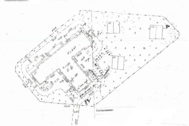 Разрешение на вырубку деревьев (Порубочный билет) во Владивостоке