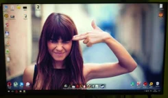 Dell. 24" ����
