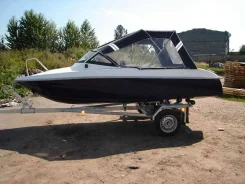 ������. 2010 ���, ����� 4,75��., ��������� ��� ��������� ����
