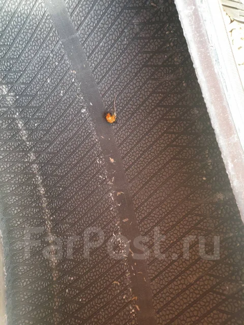 Keter. ������, 2015 ���, �/�, ����� 30 % ����