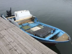 Yamaha Fish. 1989 ���, ����� 5,7��., ��������� ���������, 29,4��.�., ������ ����