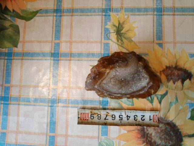 ����� �����������, ���������������. ����