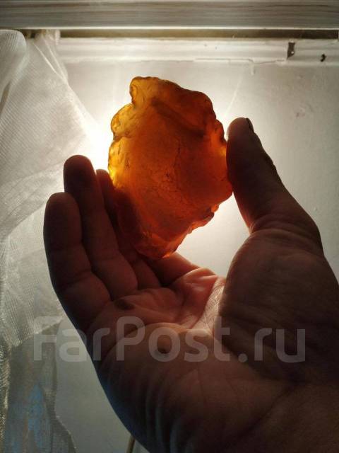 ����� �����������, ���������������. ����