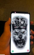 Samsung Galaxy S9+. �/�, 64 ��, 3G, 4G LTE, Dual-SIM, ����������, NFC ����