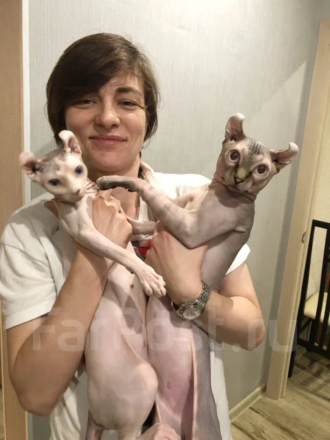 ����. ����