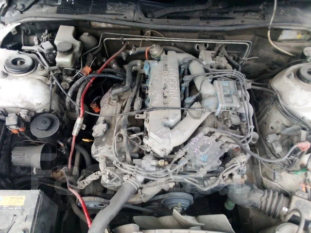 Nissan Cedric. �������, ������, 3.0 ����