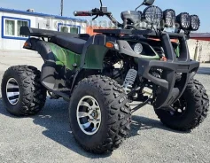 Grizzly 200. ��������, ��� ������� ����
