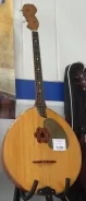 �����. ����