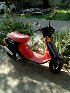 Yamaha Champ. 49����. ��., ��������, ��� ���, � �������� ����