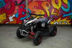 Bot Renegade 125. ��� �����