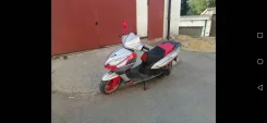 Irbis Nirvana. 150����. ��., ��������, ���, � �������� ����