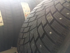 Pace Antarctica Sport. ������, ����������, 2024 ���, ����� ����
