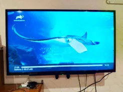Sony KDL-40RD353. LED ����
