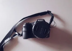 Sony Cyber-shot DSC-HX200. 15 - 19.9 ��, ���: 14� � �����