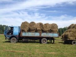 МАЗ в Бородино МАЗ. Продам маз