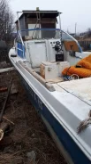 Yamaha F-22. ��������� ���������, 140��.�., ������ ����