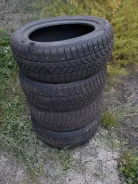 Tigar Sigura. ������, ����������, �/�, ����� 30�%. ��� �����