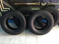 Goodyear Integrity. ������, 2010 ���, �/�, ����� 50�%. ��� ����� �� ����� ����