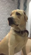 �������� ��������. ����