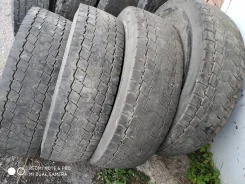 TyRex Professional DR-1. �����������, 2017 ���, �/�, ����� 70�%