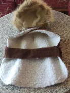 ������.