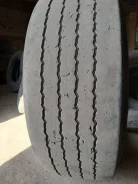 TyRex. �����������, 2017 ���, �/�, ����� 40 % ����