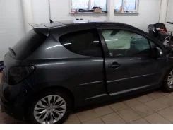 Peugeot 207. EP6 ����
