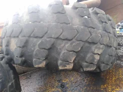 ��������. �����������, 2011 ���, �/�, ����� 80 % ����