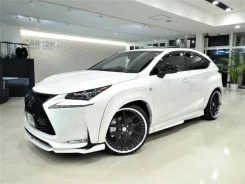 Lexus NX300h. ��������, 4wd, 2.5 (152��.�.), ������, 25 000����. ��, �/�. ��� ����� �� ������������ ����