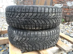 Bridgestone Winter Radial WT-17. �����������, �/�, ����� 80 % ����