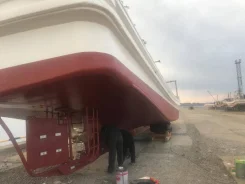 Isuzu ����