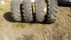Otani King Cobra Extreme. ����� at, 2018 ���, �/�, ����� 60 % ����