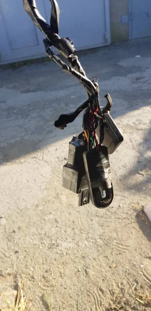 Proma ����