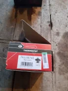 ��������� TH31987G1 ����